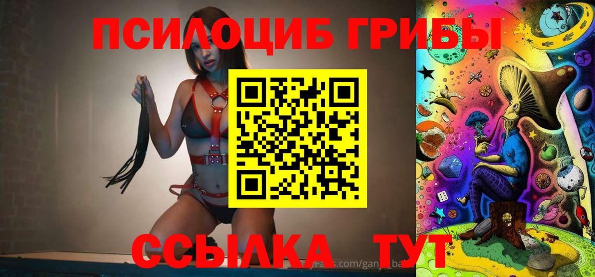Псилоцибиновые грибы GOLDEN TEACHER Губаха