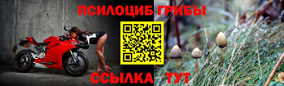 Губаха  Псилоцибиновые грибы мухоморы  Вход с VPN 